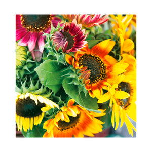 Servilleta Ramo de Girasoles 20 unidades
