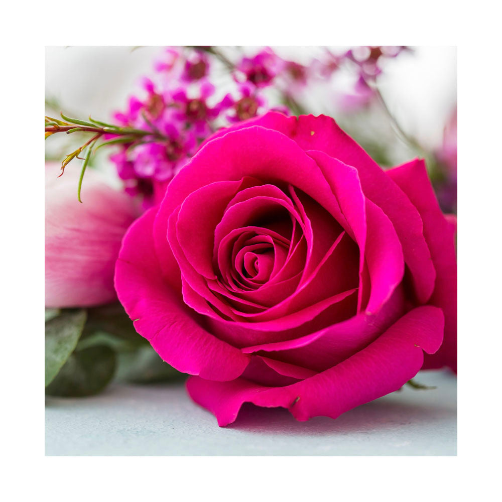 Servilleta Flor de Rosa 20 unidades