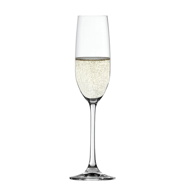 Set 4 Copas Salute Champagne