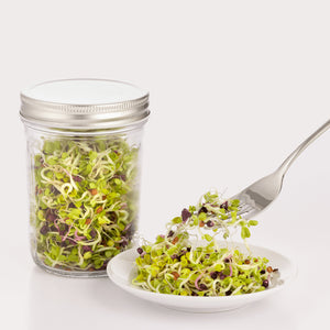 Set Kilner Para Germinar Semillas