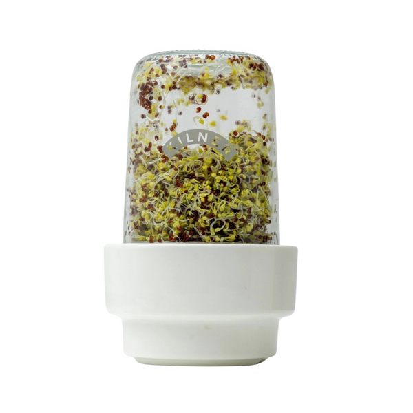 Set Kilner Para Germinar Semillas