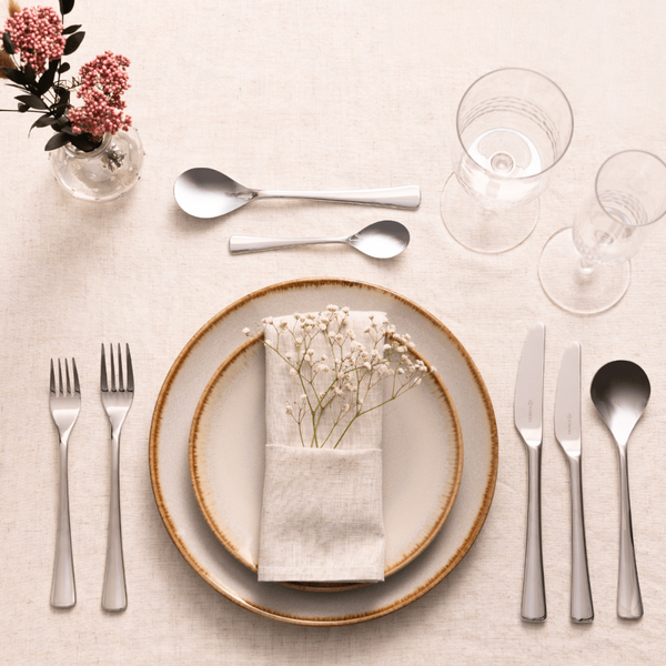 Set Cubiertos Darwin 16 Pzs