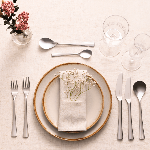 Set Cubiertos Darwin 44 Pzs