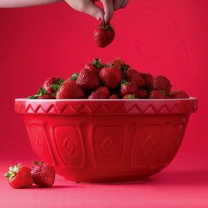 Bowl Colour Mix Rojo Rubí 24cms