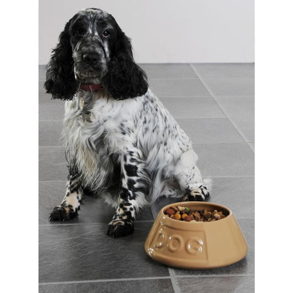 Bowl Perro Beige AntiVuelco 21cms