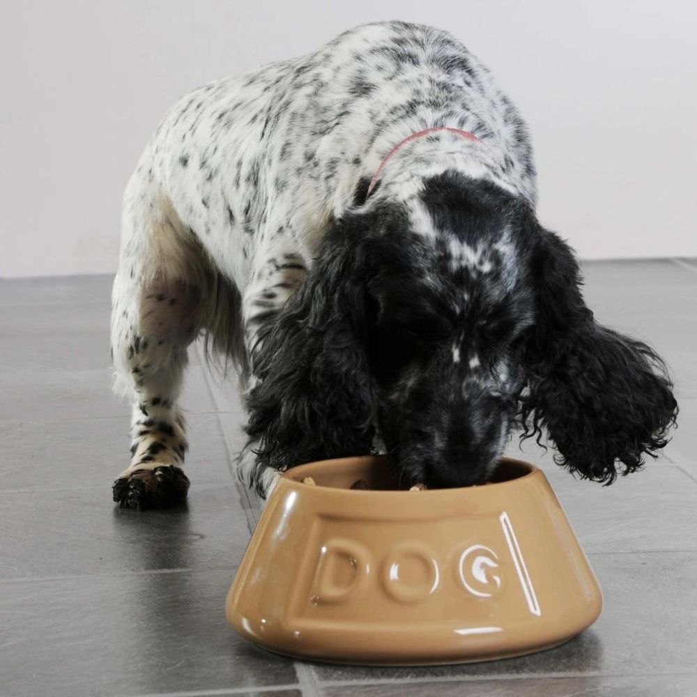 Bowl Perro Beige AntiVuelco 21cms