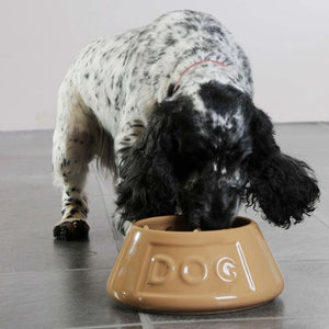 Bowl Perro Beige AntiVuelco 21cms