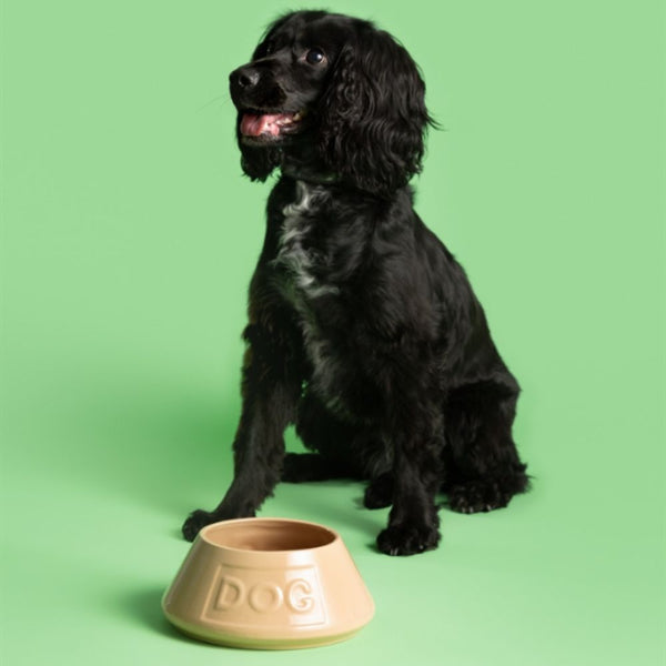 Bowl Perro Beige AntiVuelco 21cms