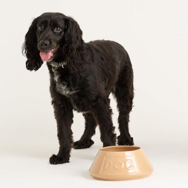 Bowl Perro Beige AntiVuelco 21cms