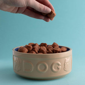 Bowl Perro Beige/Azul 15cms