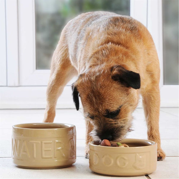 Bowl Perro Beige/Azul 18cms