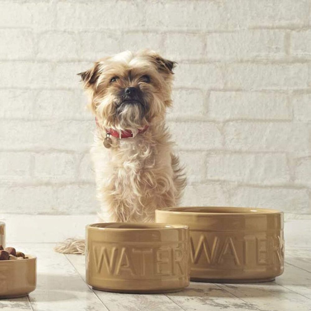 Bowl Perro Agua Beige 15cms