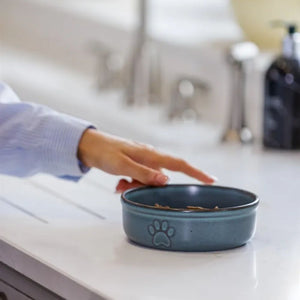 Bowl Mascota Azul 15cms