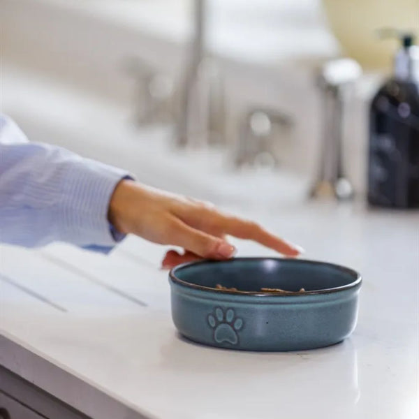 Bowl Mascota Azul 15cms