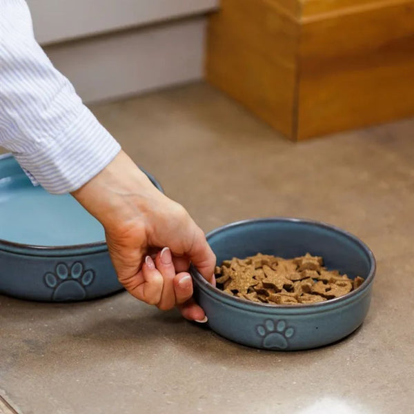 Bowl Mascota Azul 15cms