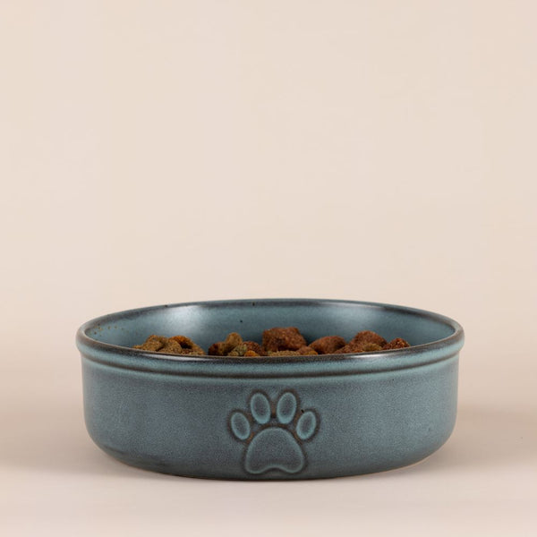Bowl Mascota Azul 18cms