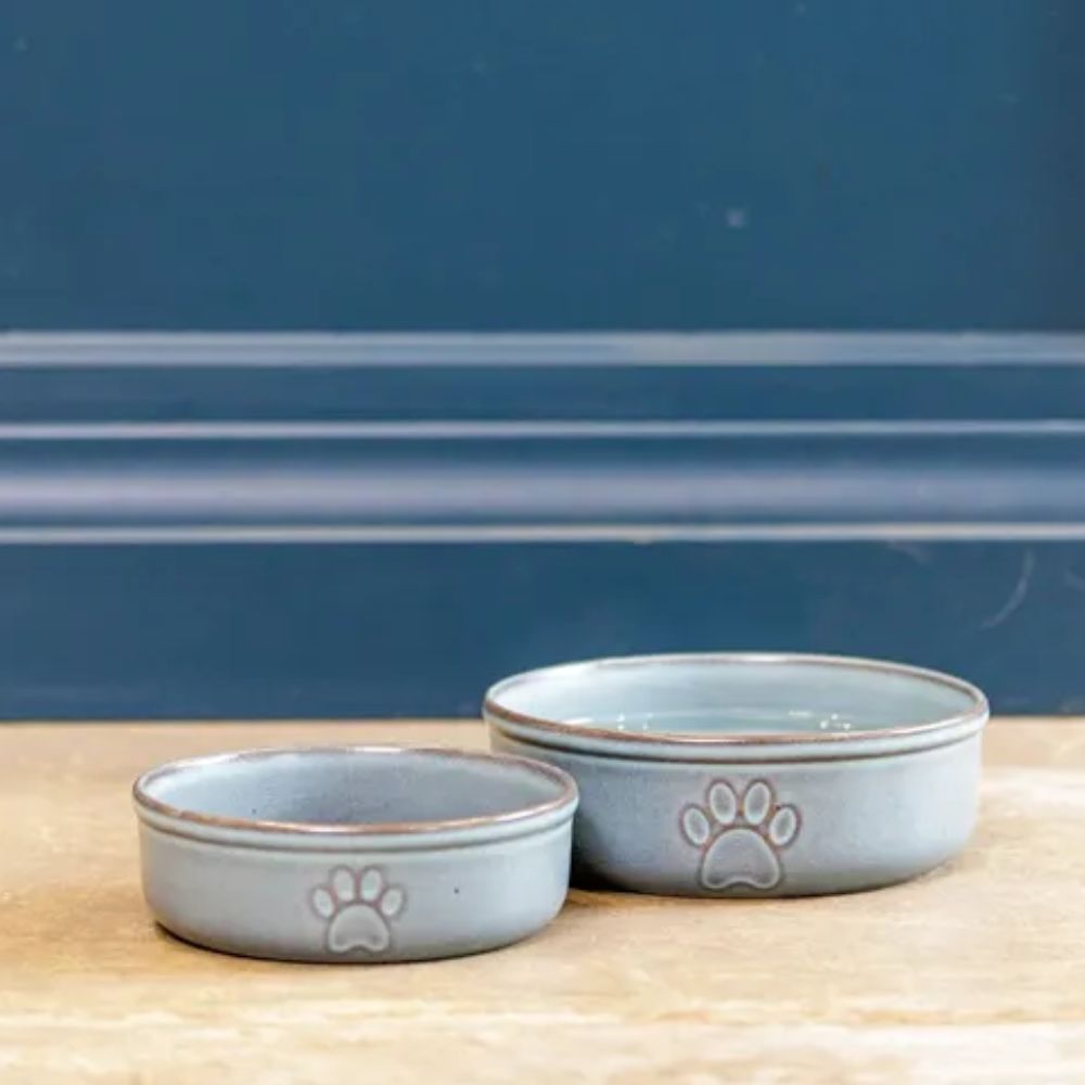 Bowl Mascota Azul 18cms