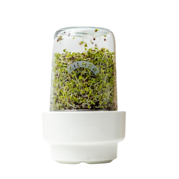 Set Kilner Para Germinar Semillas
