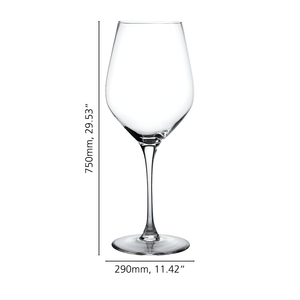 Copa de Vino XXXL