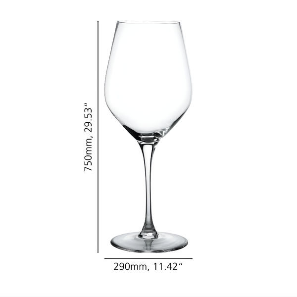 Copa de Vino XXXL