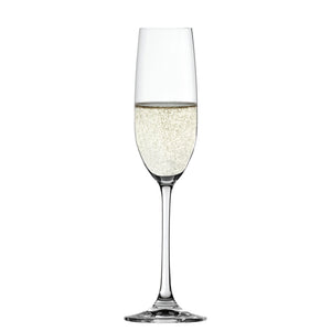Set 4 Copas Salute Champagne