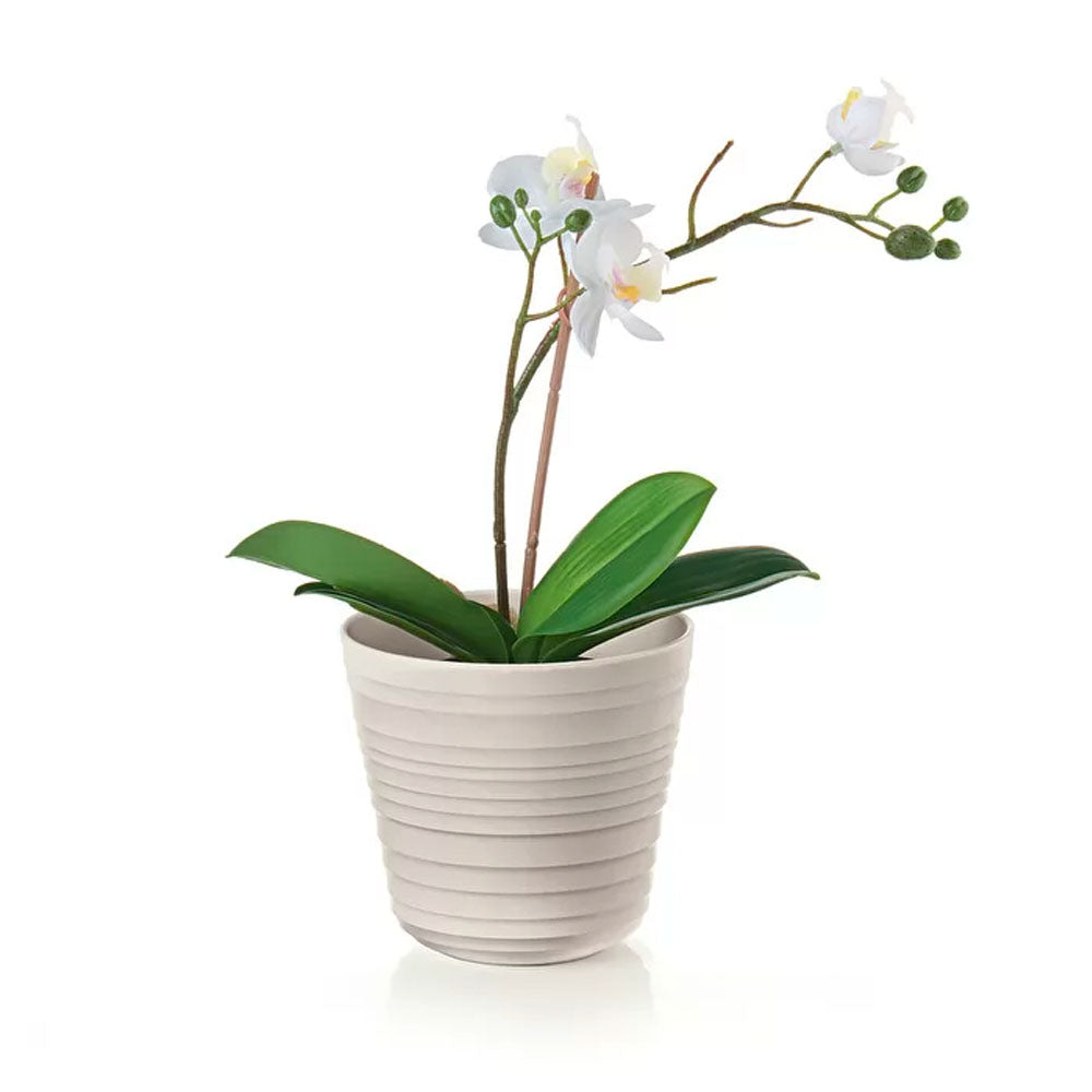 Macetero 'Tierra' Single Plant Blanco