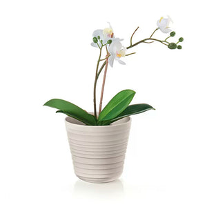 Macetero 'Tierra' Single Plant Latte