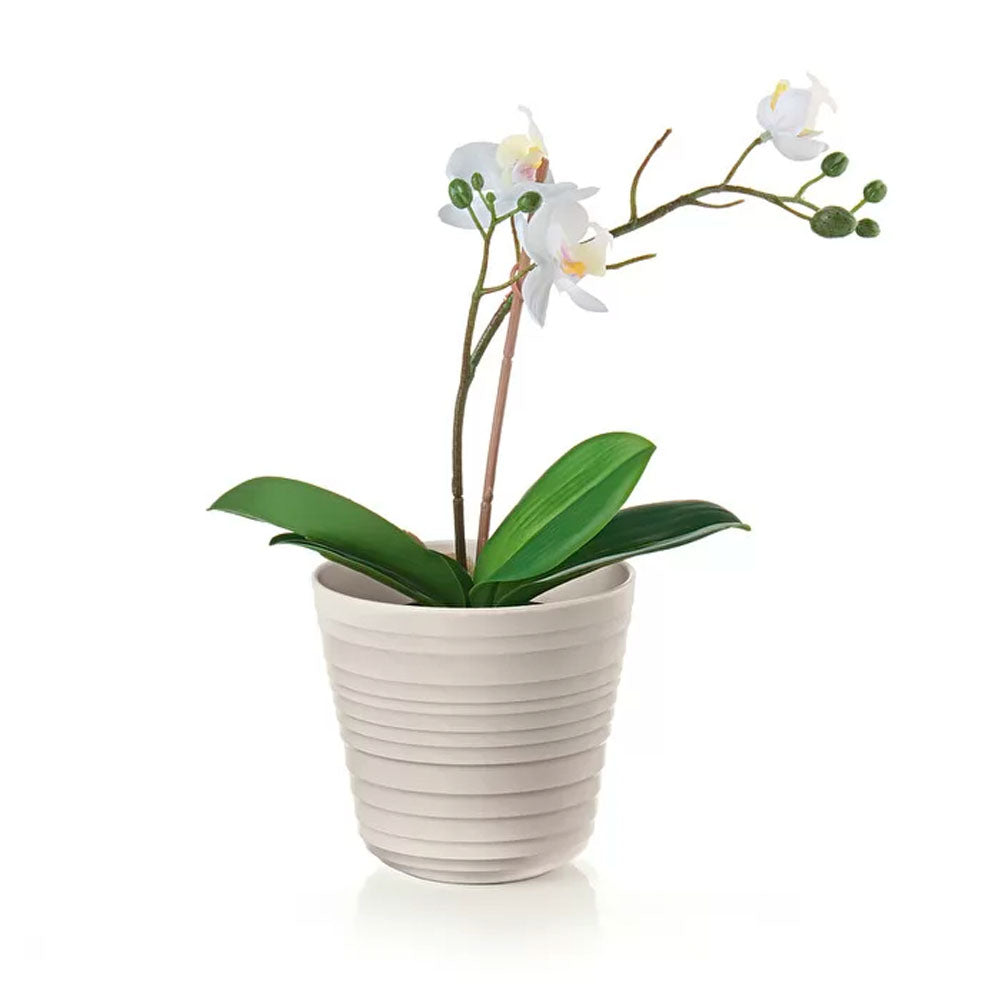Macetero 'Tierra' Single Plant Arena