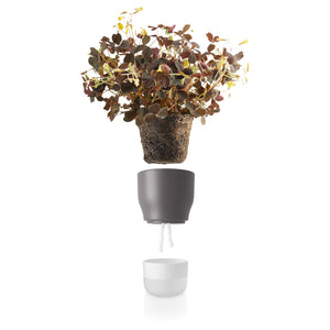 Macetero Pot Auto Riego Gris 9cms
