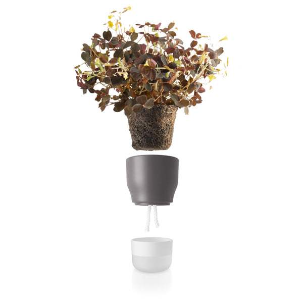 Macetero Pot Auto Riego Gris 9cms