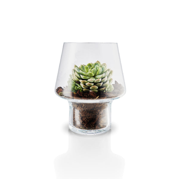 Macetero Vidrio Suculenta 15cms
