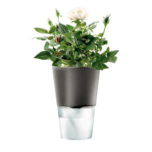 Macetero Auto Riego Gris Oscuro 11cms