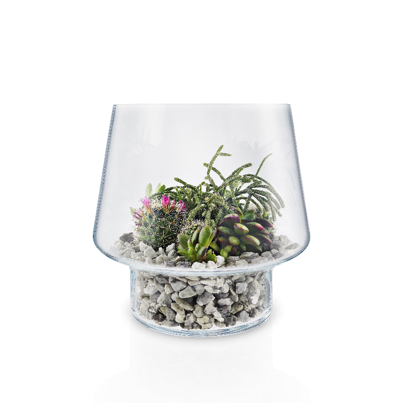 Macetero Vidrio Suculenta 21cms