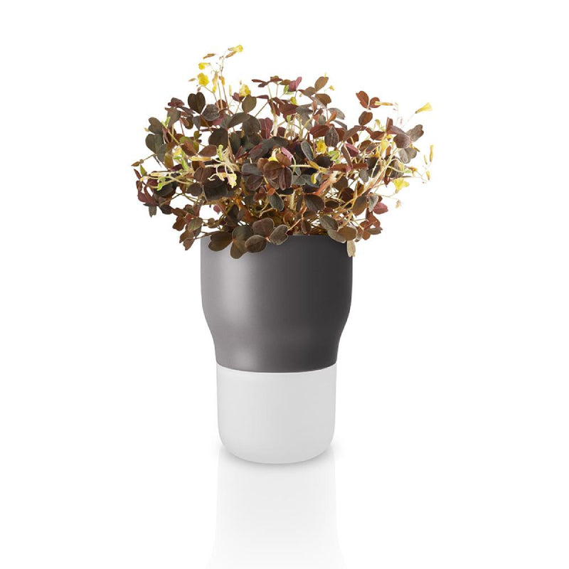 Macetero Pot Auto Riego Gris 9cms