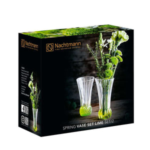 Set 2 Floreros Spring Lima 14 cms