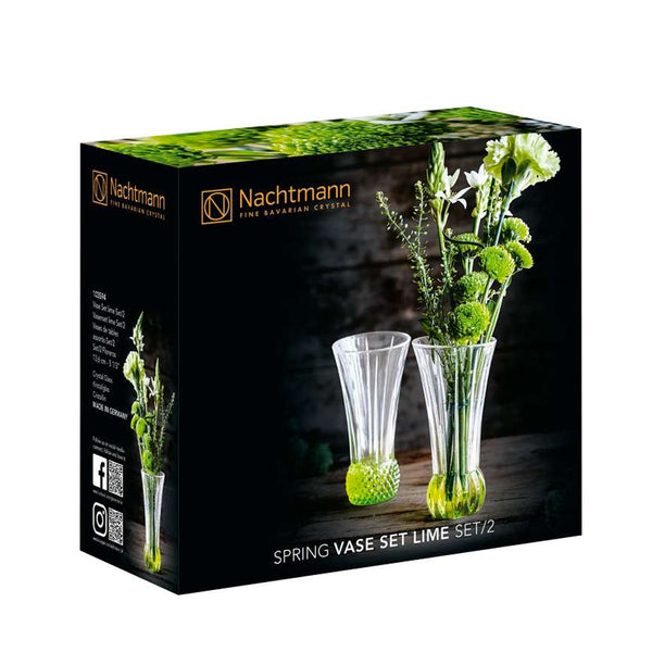 Set 2 Floreros Spring Lima 14 cms